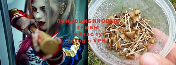 герыч Богданович