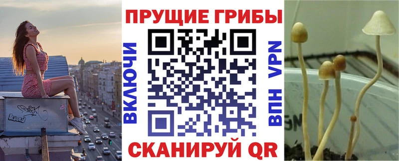 Галлюциногенные грибы Magic Shrooms  Давлеканово 